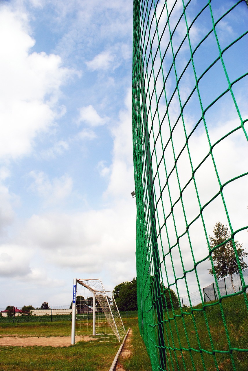 若两人双双 若两人双双