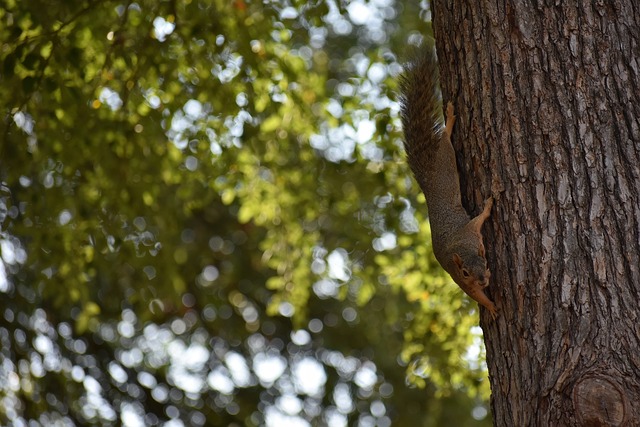 面临市场竞 面临市场竞
