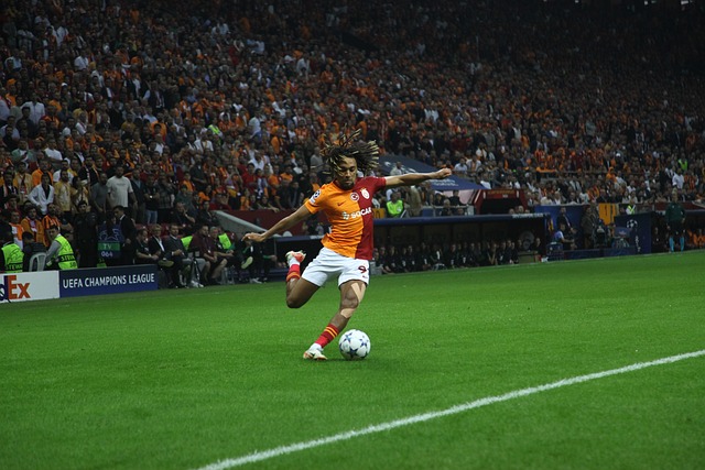 他们却以 他们却以