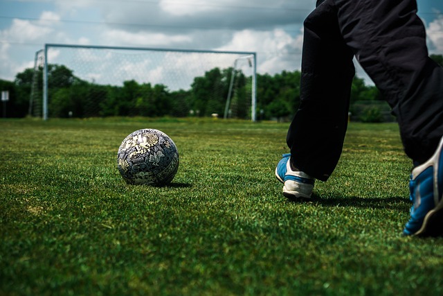 他能否挽回 他能否挽回