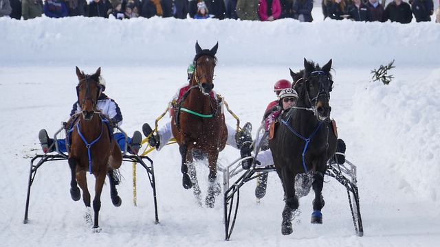 以及门将关 以及门将关