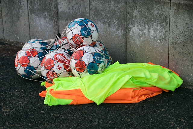 球迷的熱烈 球迷的熱烈