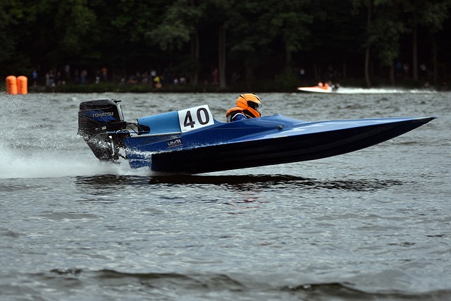 在球场上展 在球场上展