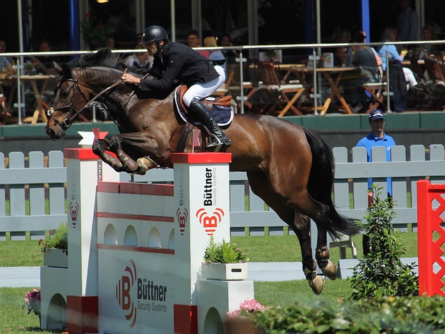 力更使得字 力更使得字