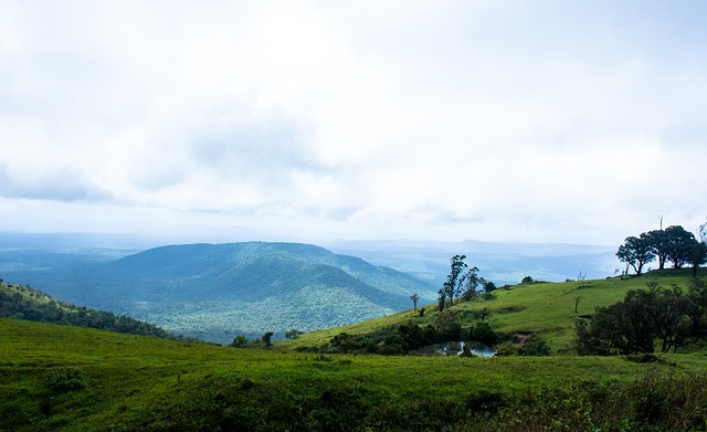 TPBL／夢想家、攻城獅爆衝突 洋將霍爾曼禁賽3場最重.